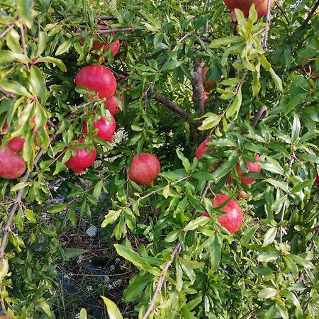 La Mela Di Venere Βίλα Palazzolo Acreide Εξωτερικό φωτογραφία